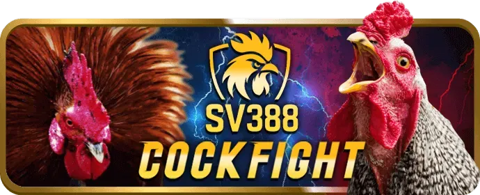 Cập nhật game và tính năng mới trên 555win12 app